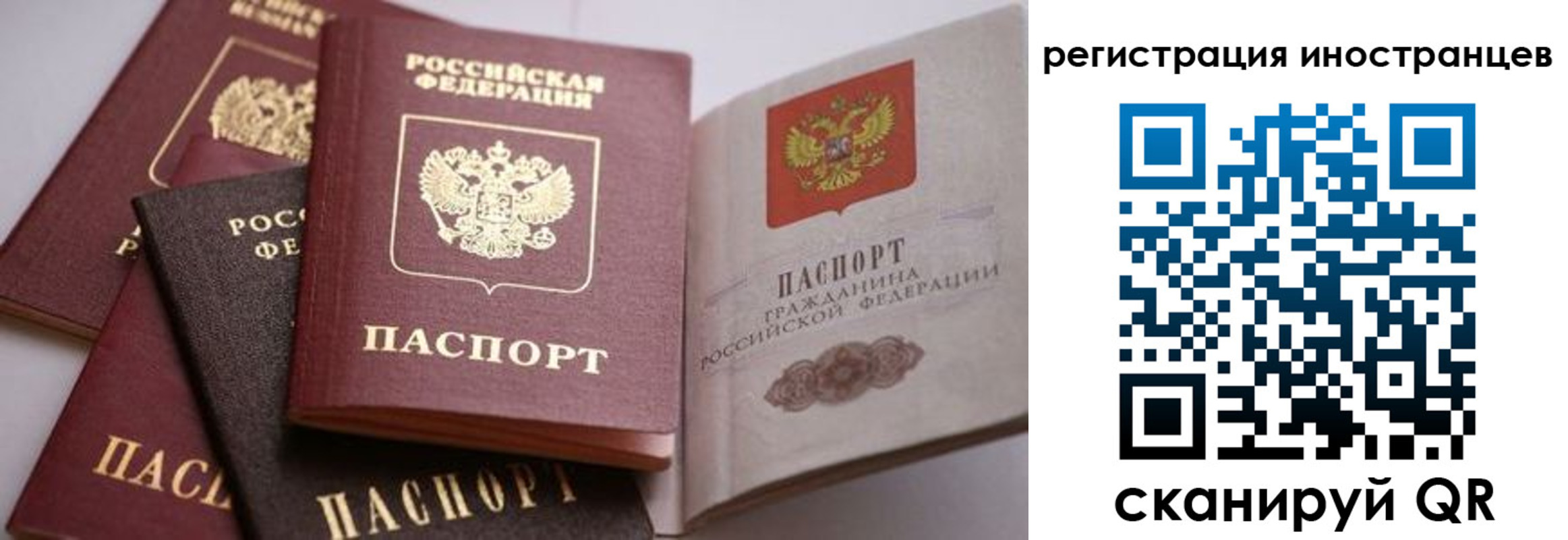 прописка штамп в Приволжске